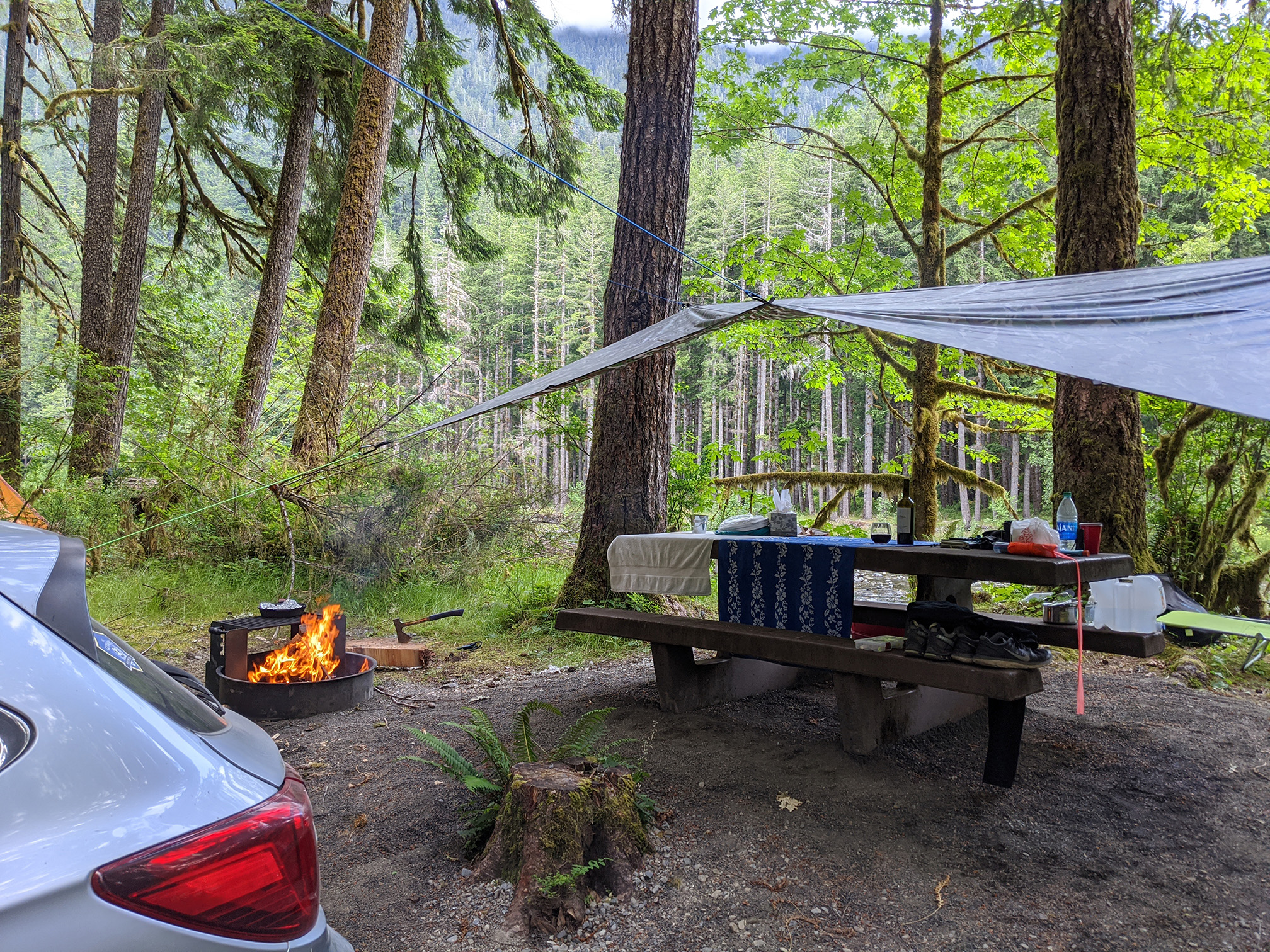 Graves Creek Campground - Olympic Otter