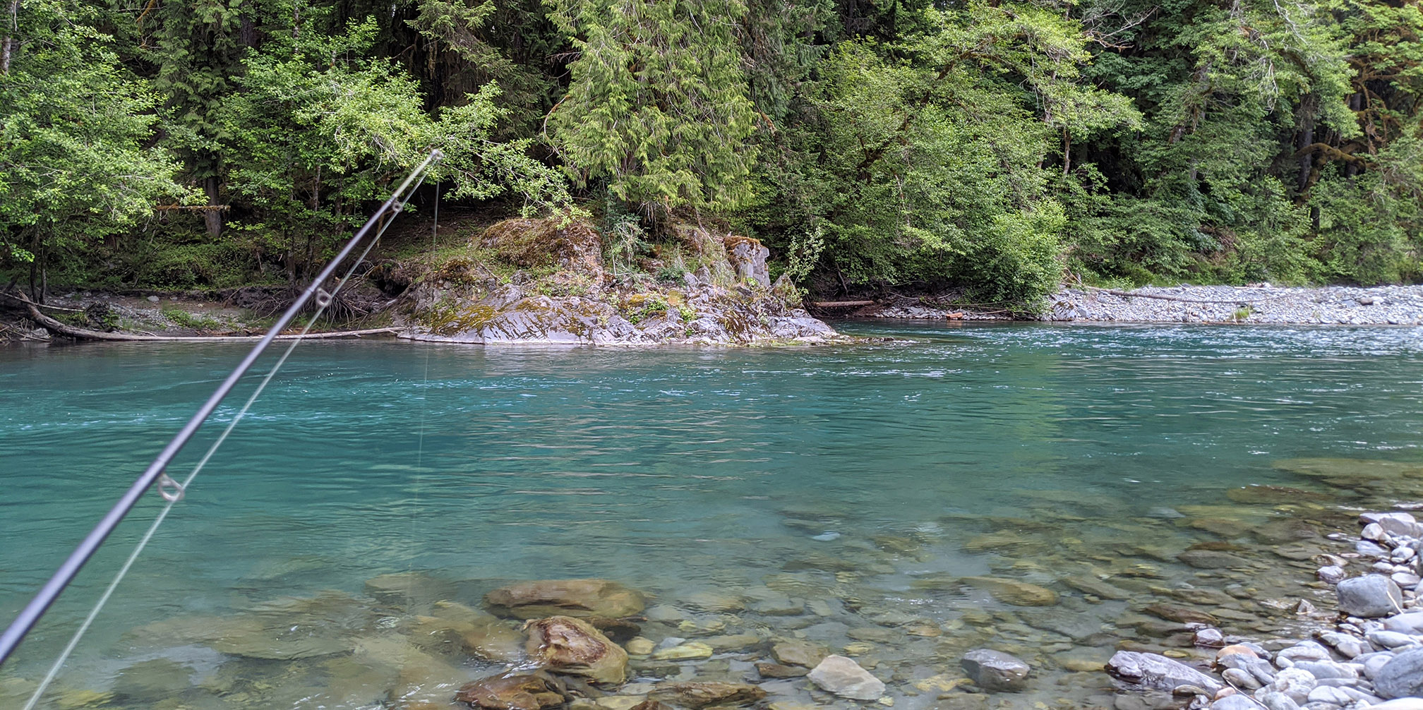 Graves Creek Campground Olympic Otter