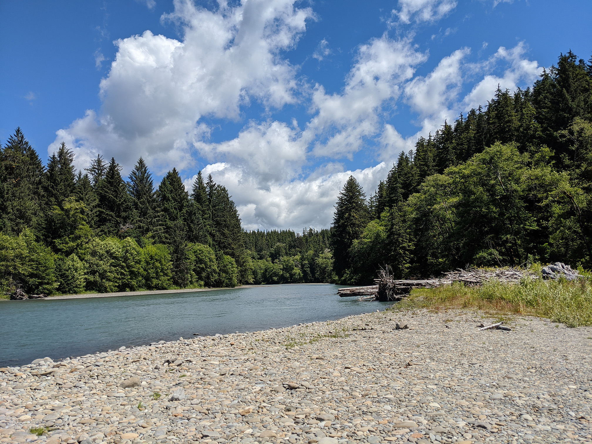 Queets Campground - Olympic Otter