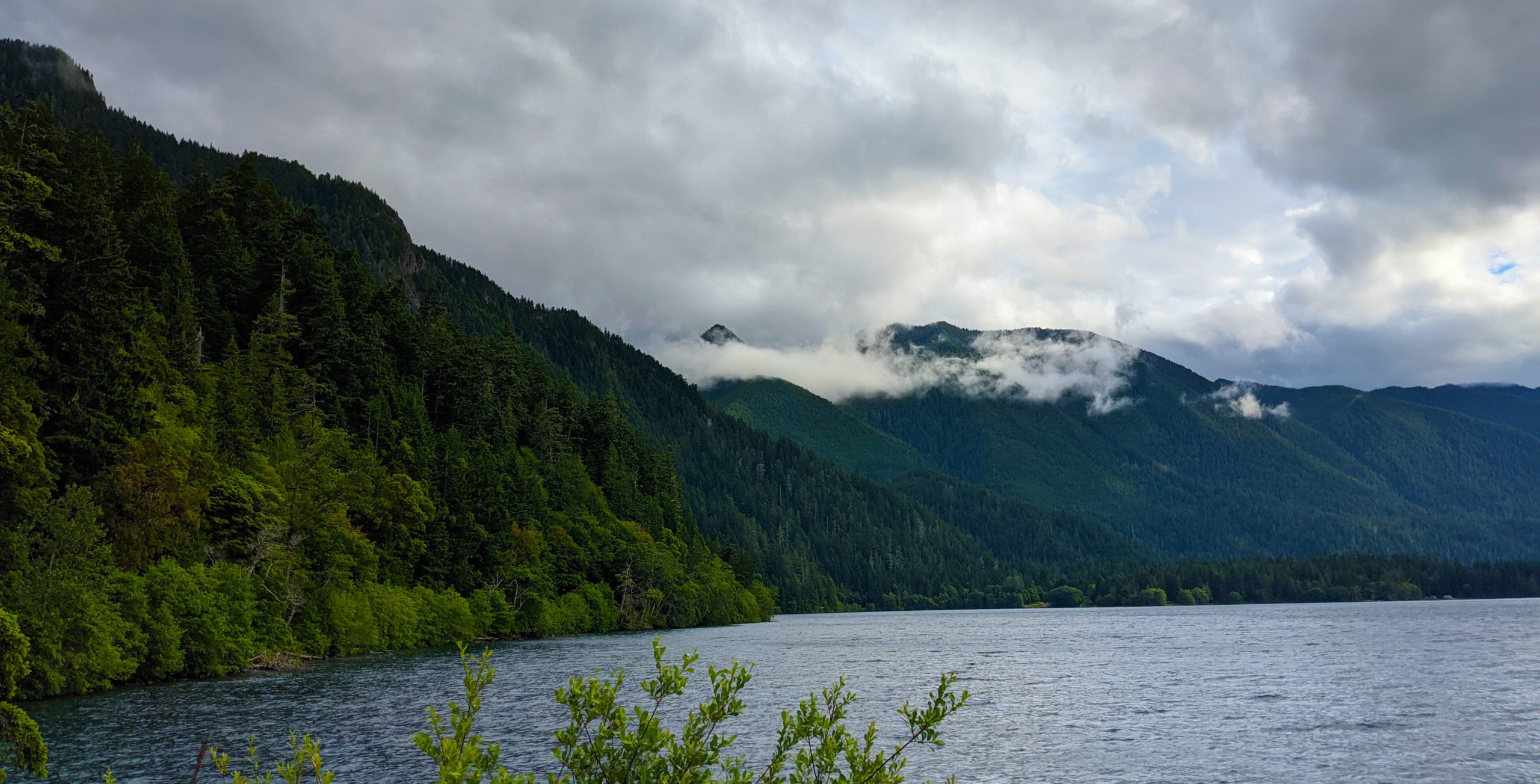 Finding Queets: Three Days of Scouting in Olympic National Park